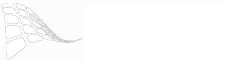 诺唯思